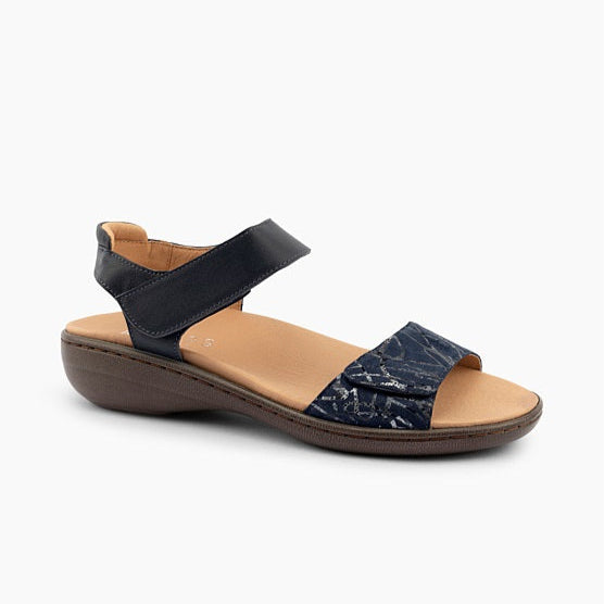 Ariel II Navy