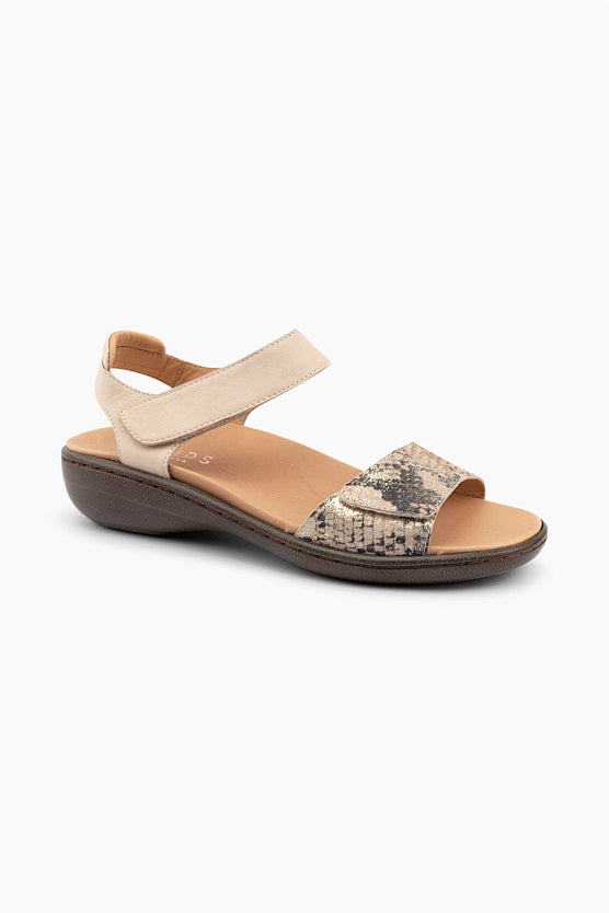 Ariel II Nude Python