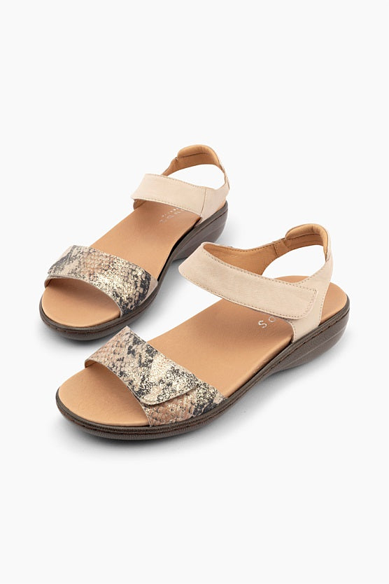 Ariel II Nude Python
