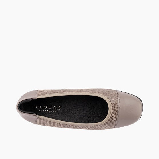 Walnut Stretch XW Dark Grey