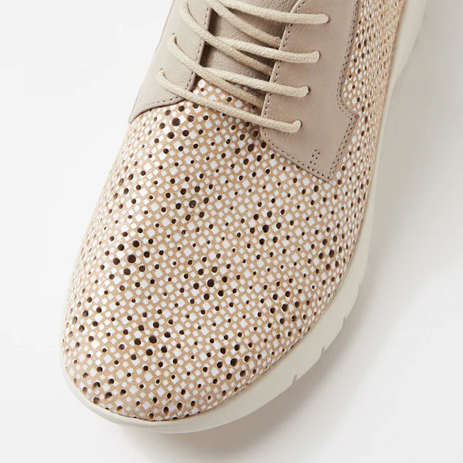 Provence XW Camel & White Print