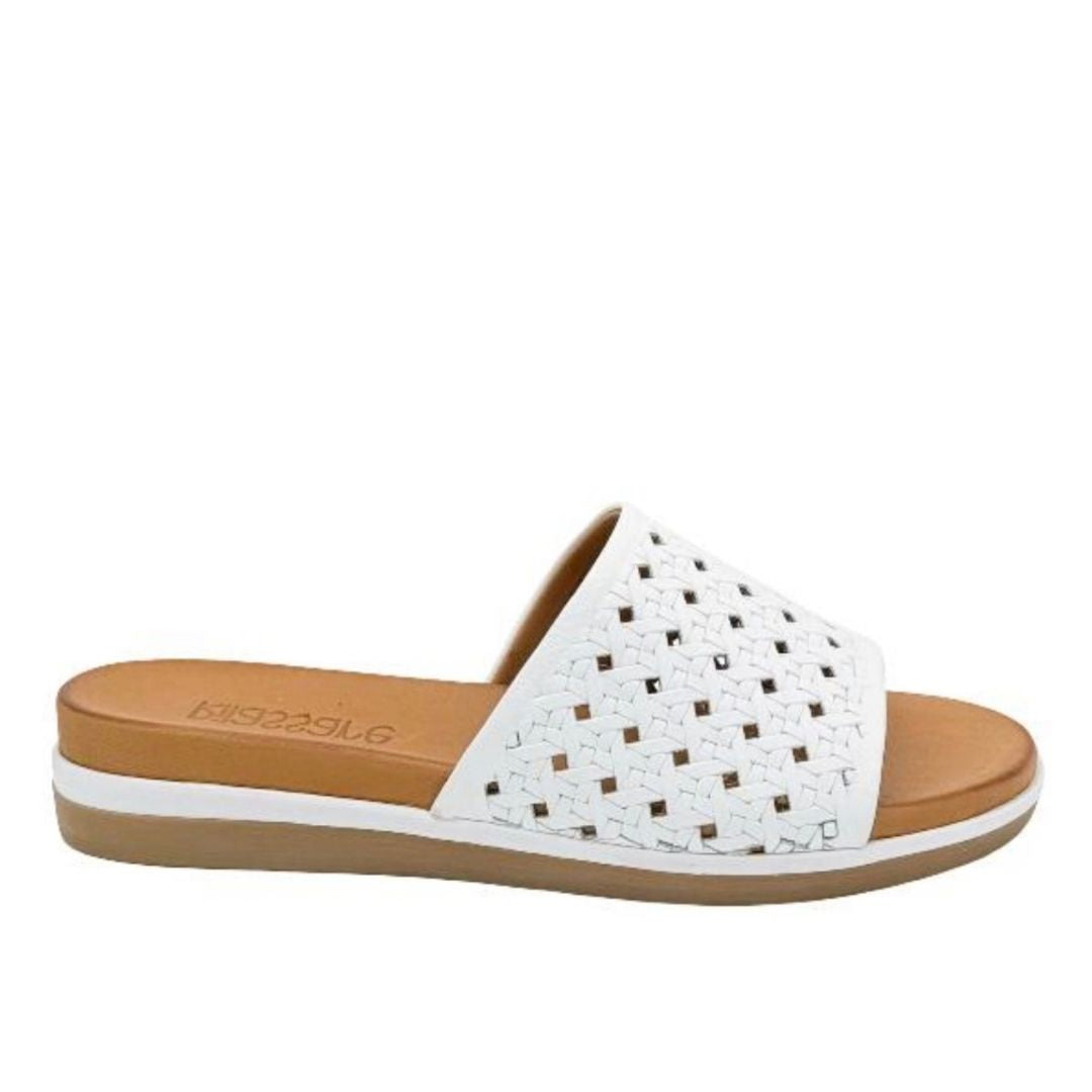 Dreamer White