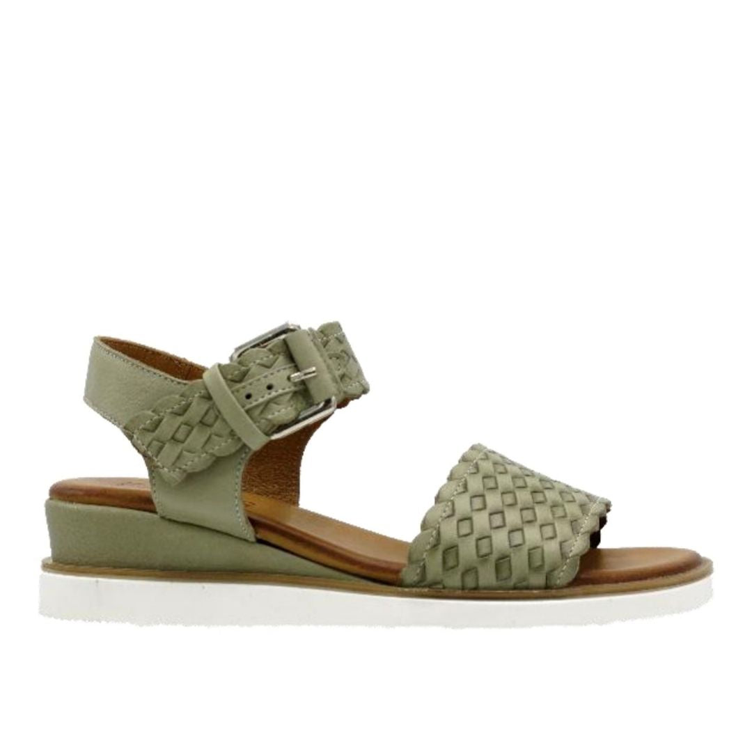 Thatch Khaki