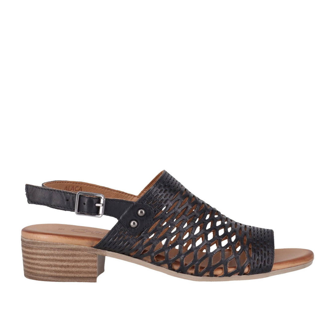 Alaca Black