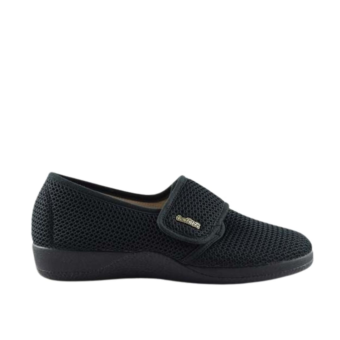 1160 Negro