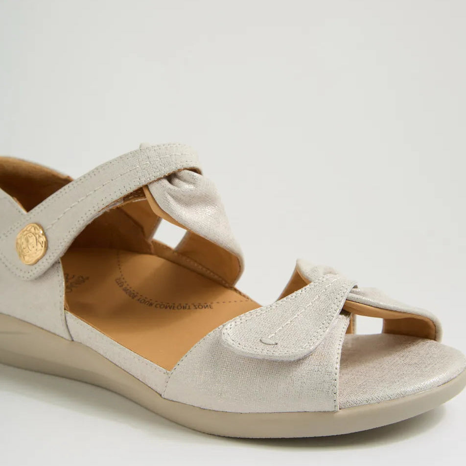 Doxie W Ivory Gold Print