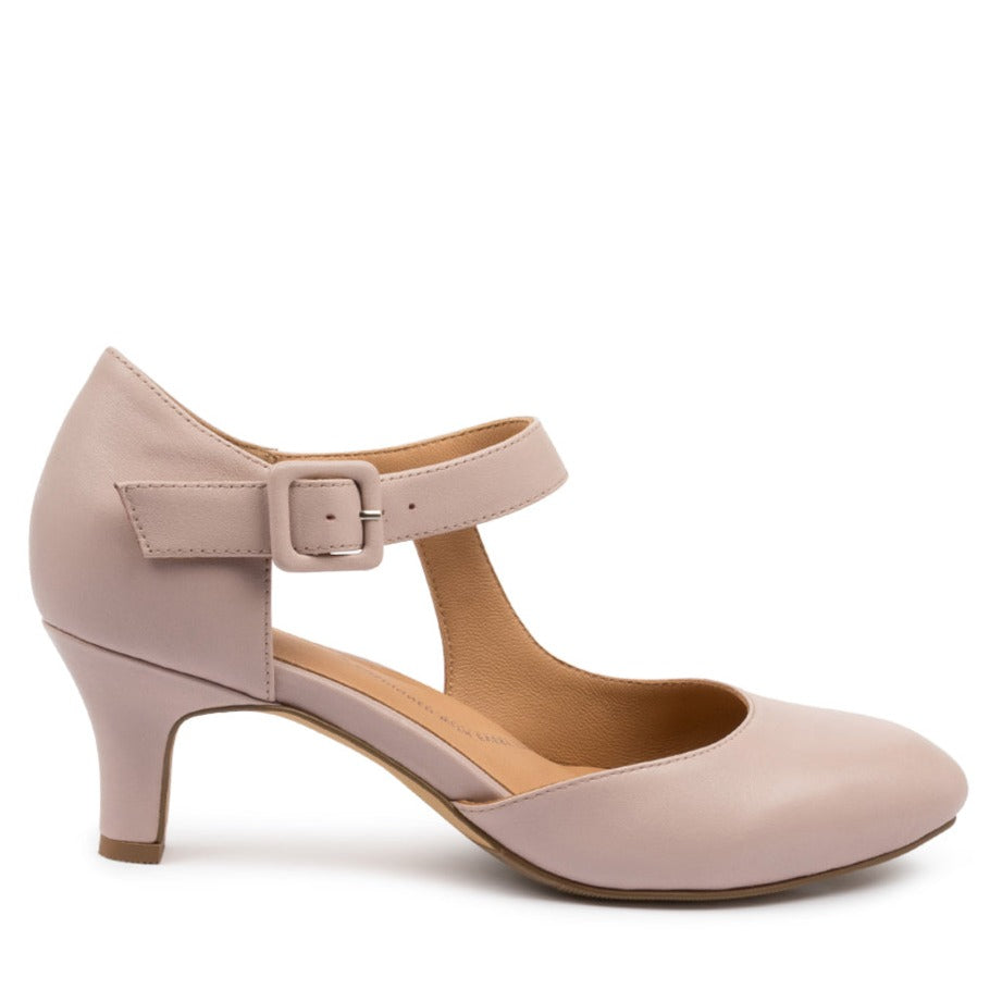 Timon Xw Seashell