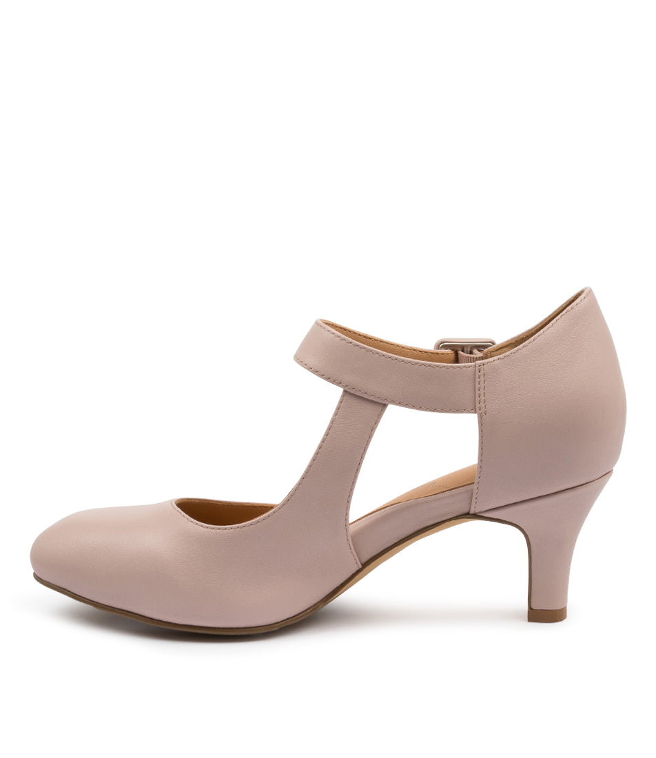 Timon Xw Seashell