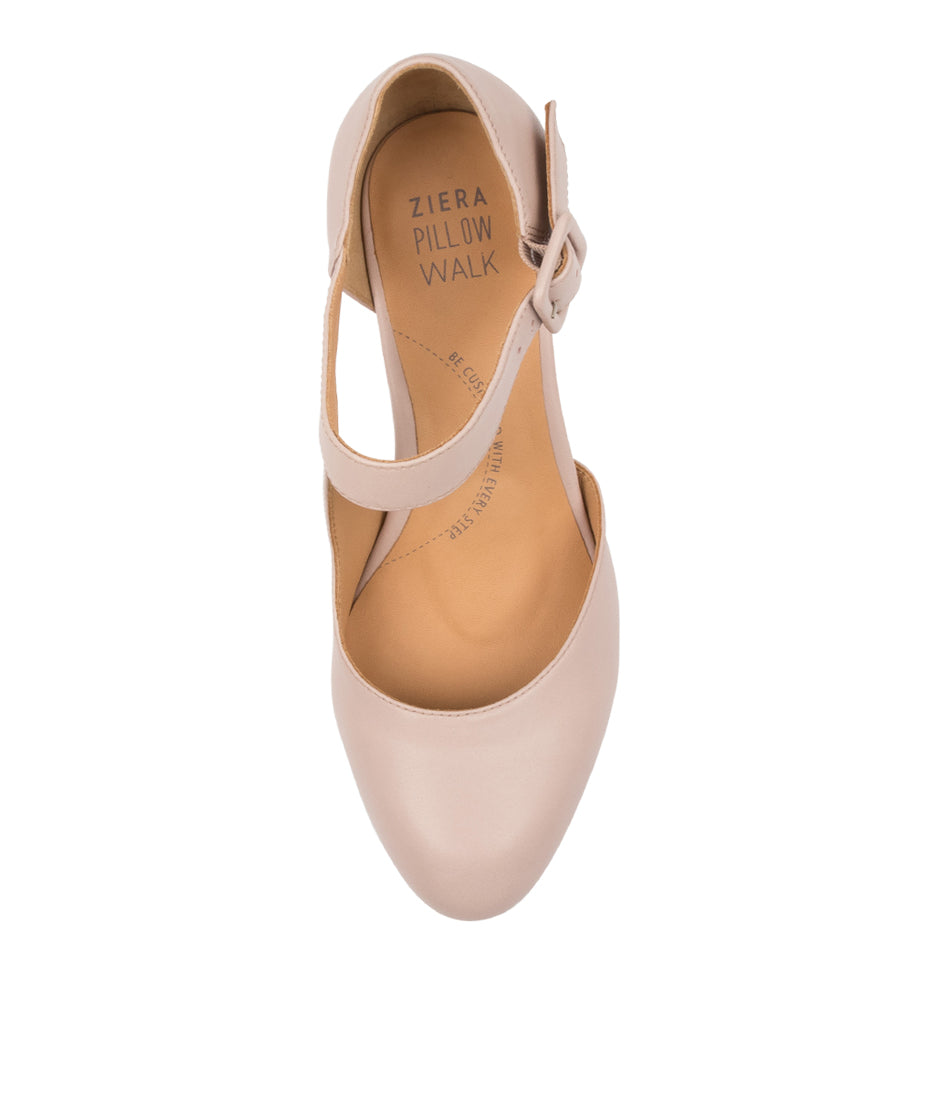 Timon Xw Seashell