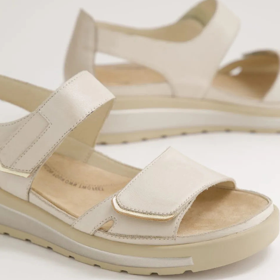 Gedd W Almond / Pale Gold