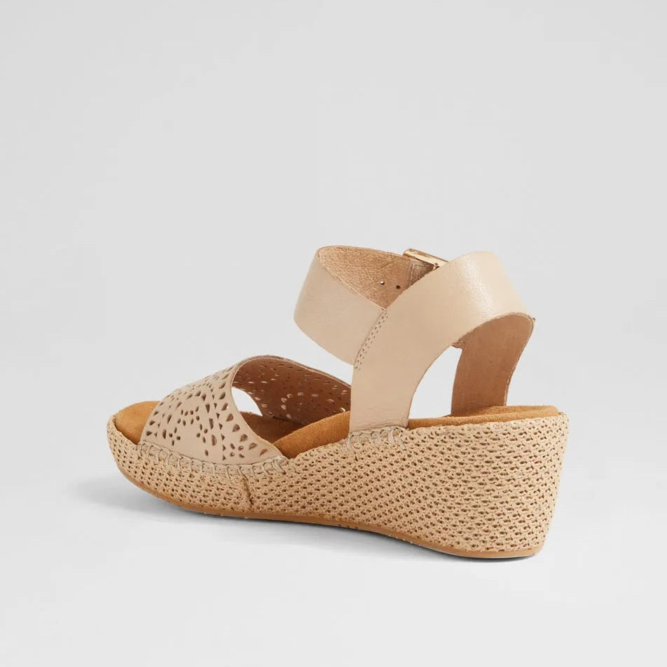 Killion Xw Camel