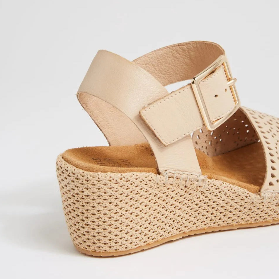 Killion Xw Camel