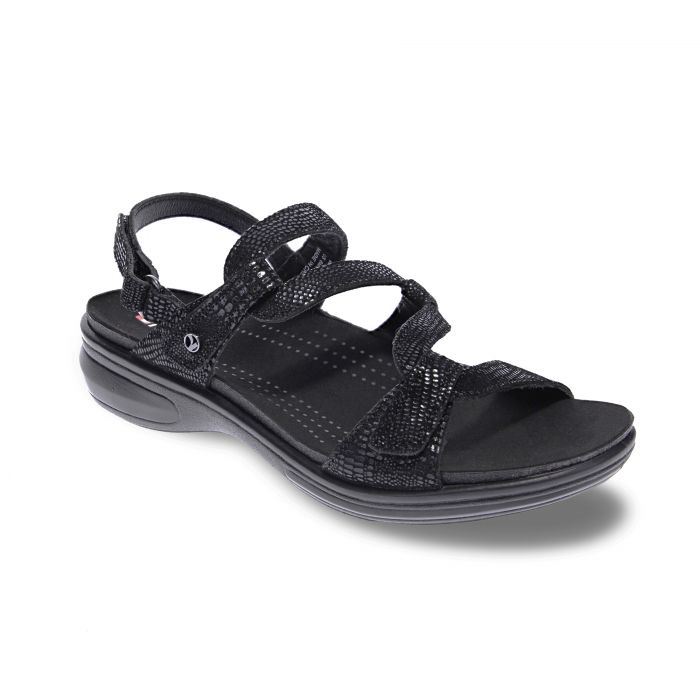 Miami Black Lizard