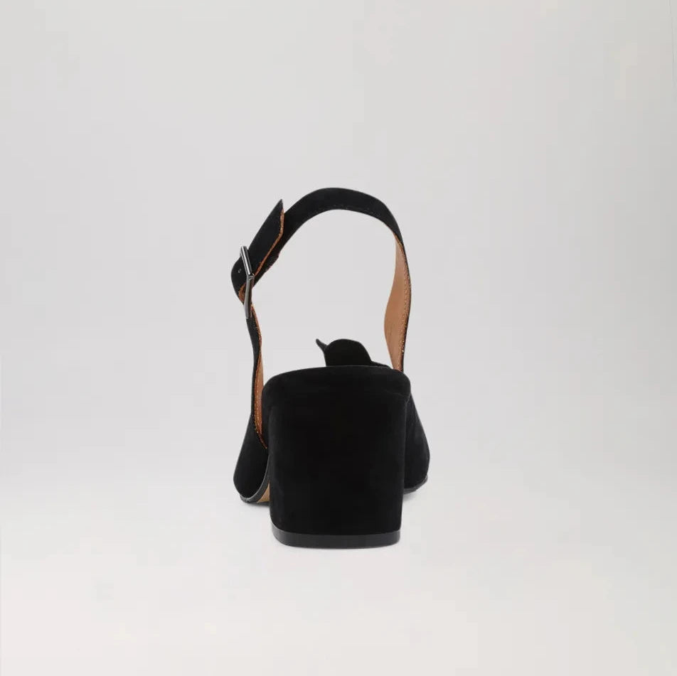 Vaccero Xw Black Suede