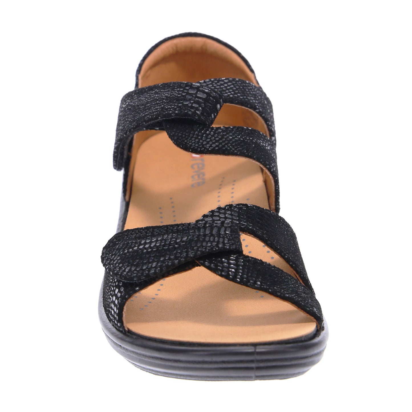 Geneva Black Lizard