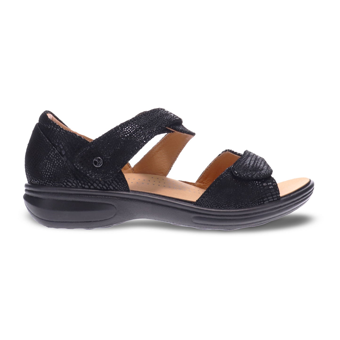 Geneva Black Lizard