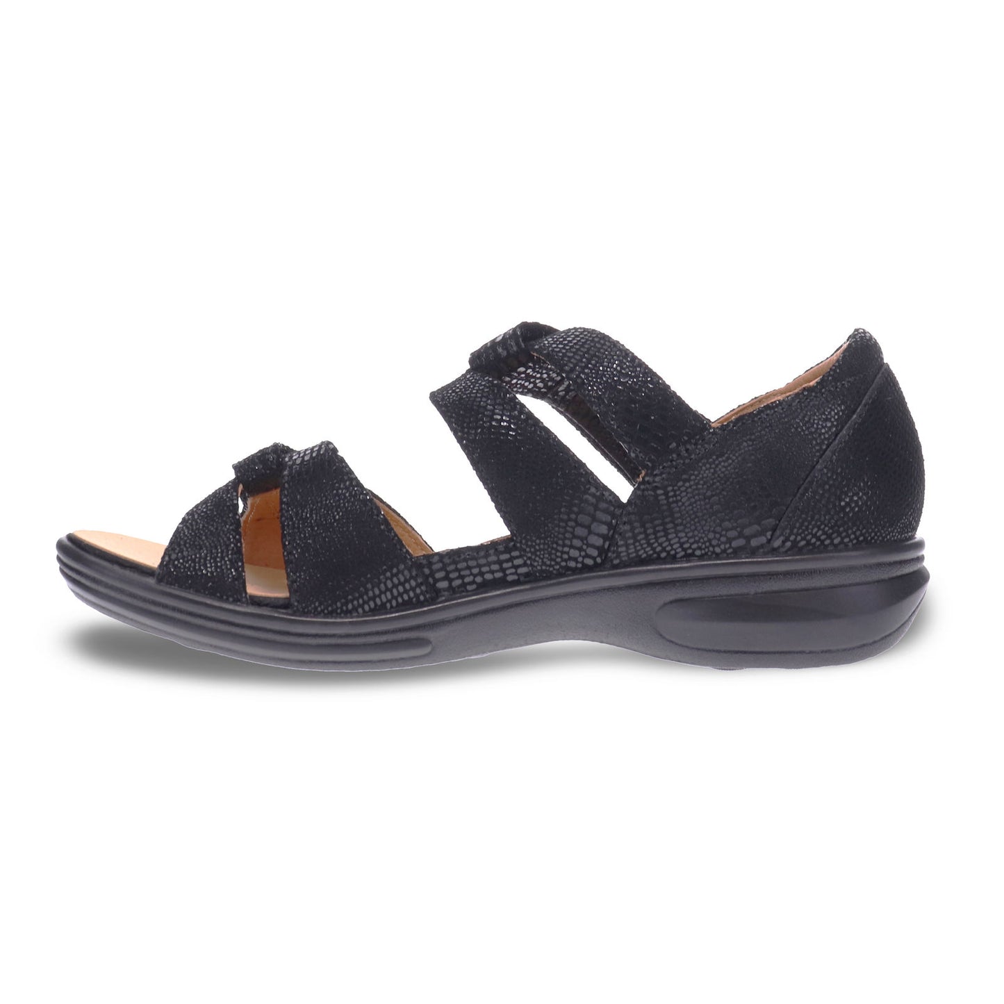 Geneva Black Lizard