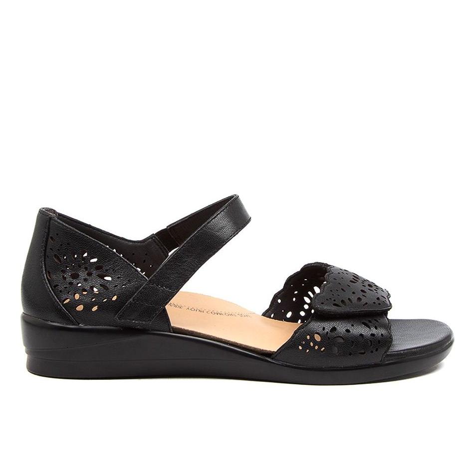 Dusty W Black