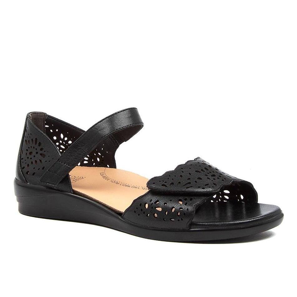 Dusty W Black