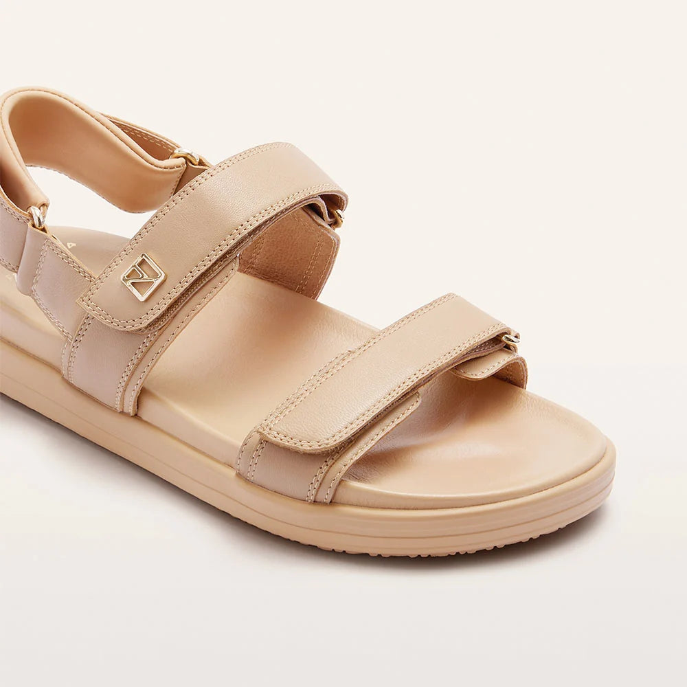 Rome Camel