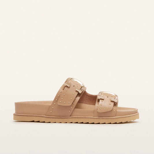 Deon Camel Stud