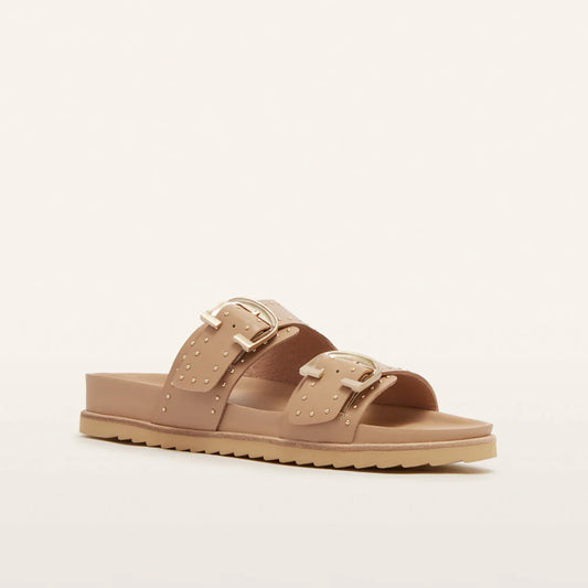 Deon Camel Stud
