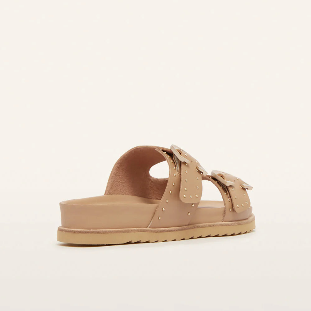 Deon Camel Stud