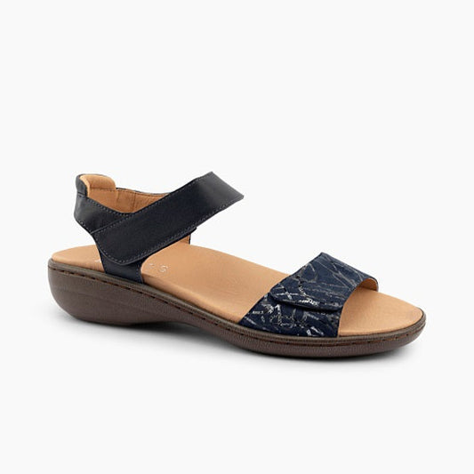 Ariel II Navy