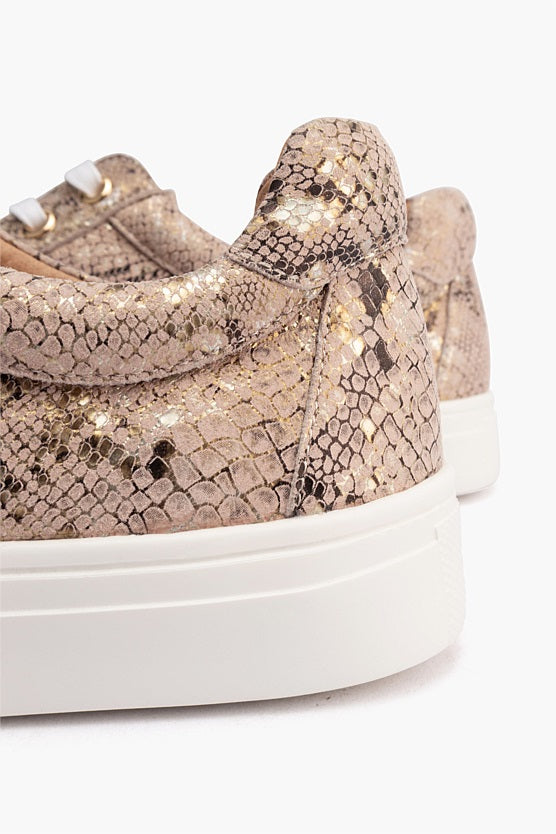 Cara Print Rose Gold