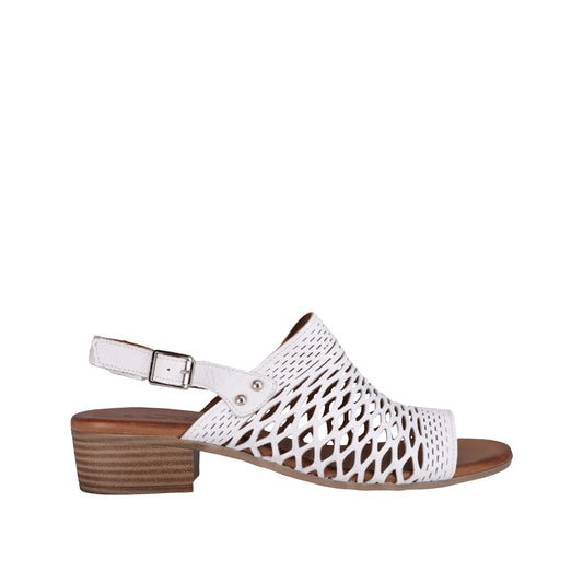 Alaca White