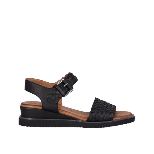 Amine Black