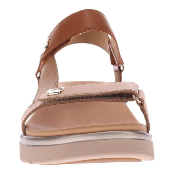 Candice Tan Multi