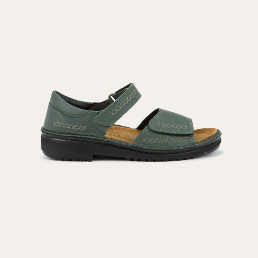 Norel Root Green