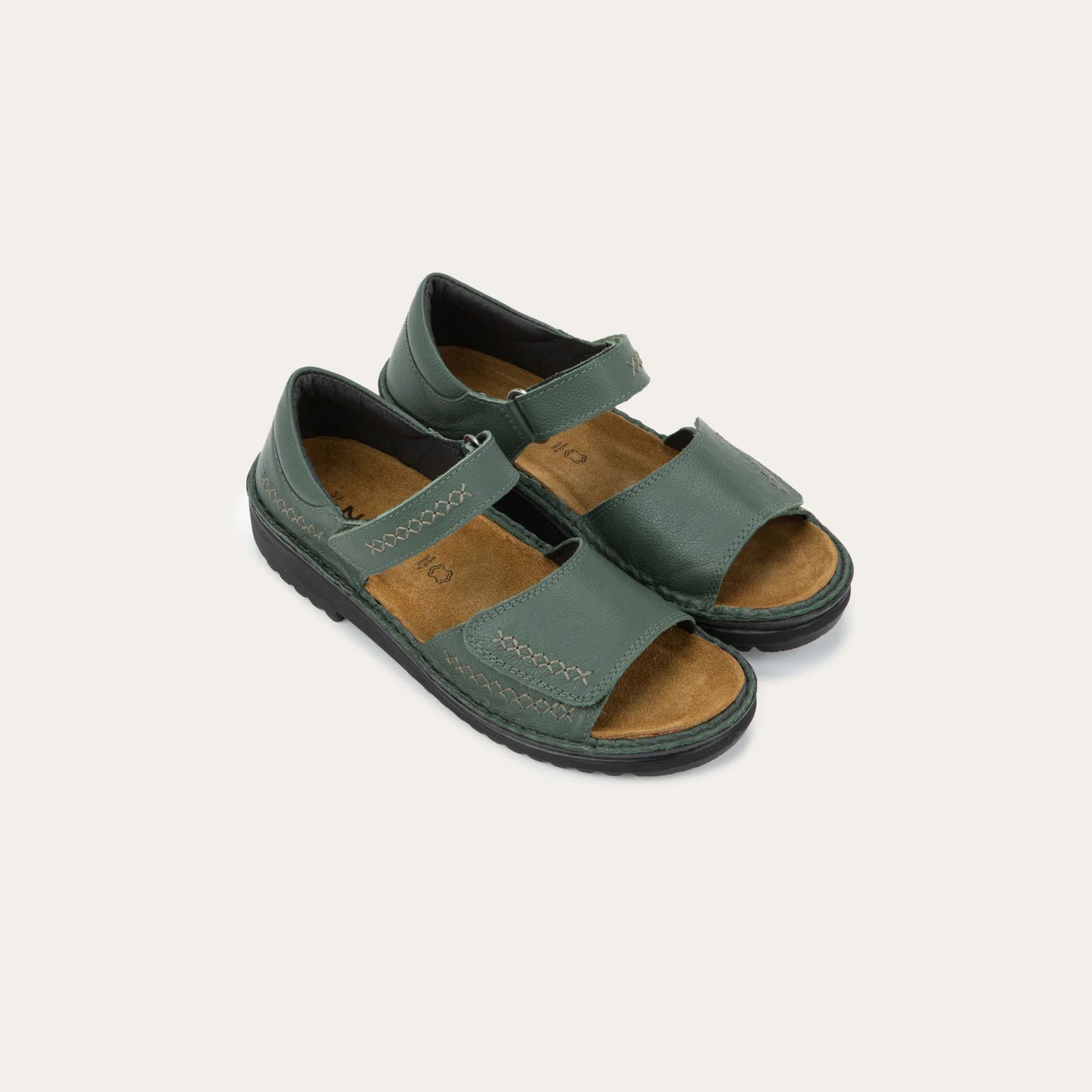 Norel Root Green