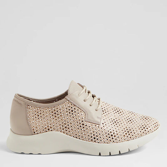 Provence XW Camel & White Print