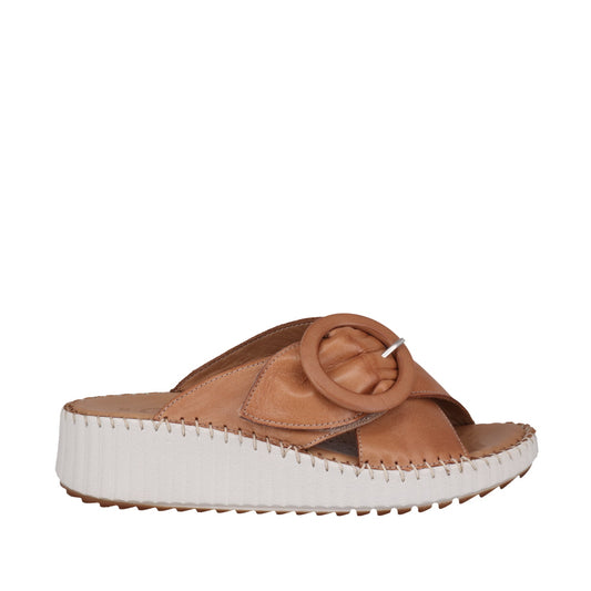 Torch Tan