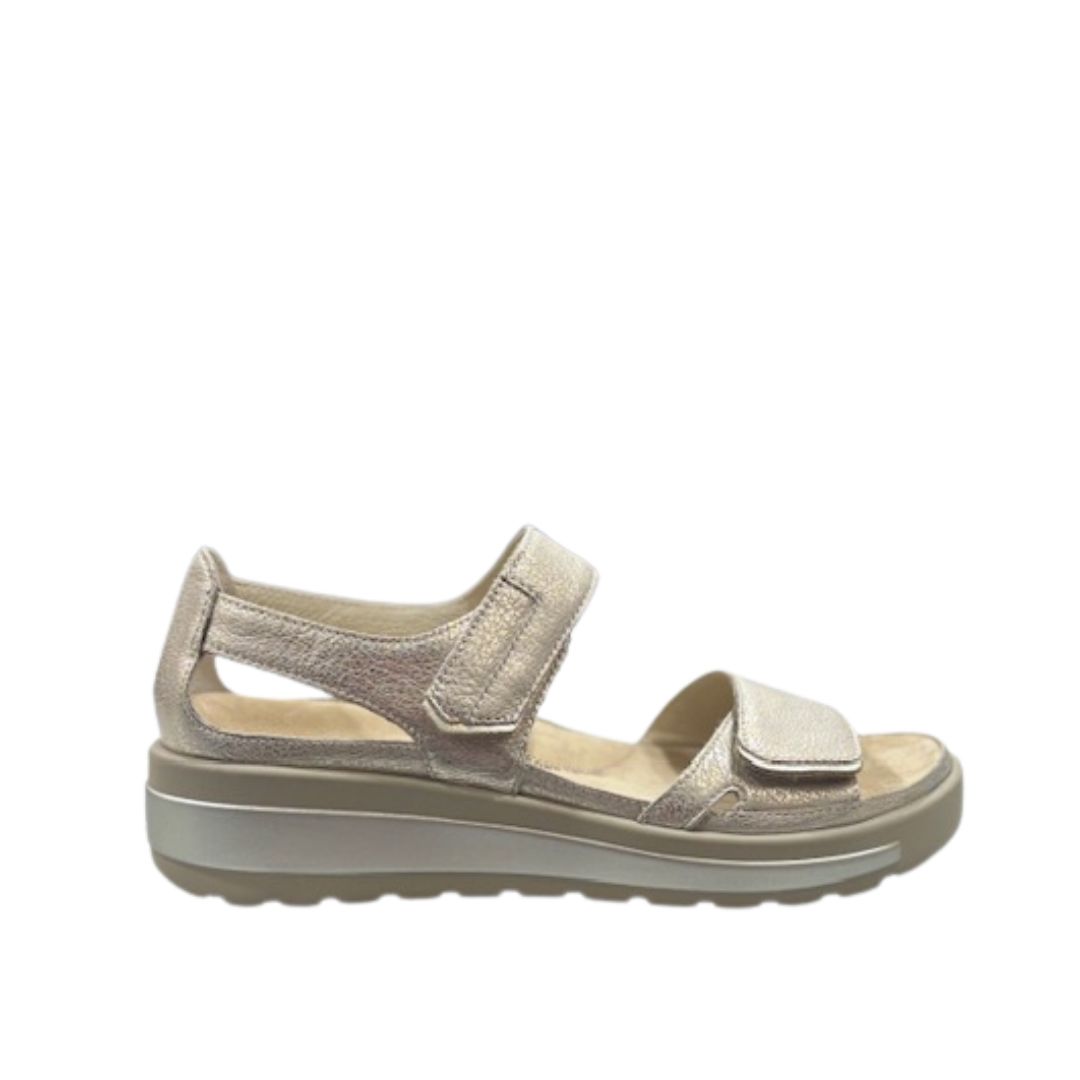 Gedd W Beige Gold