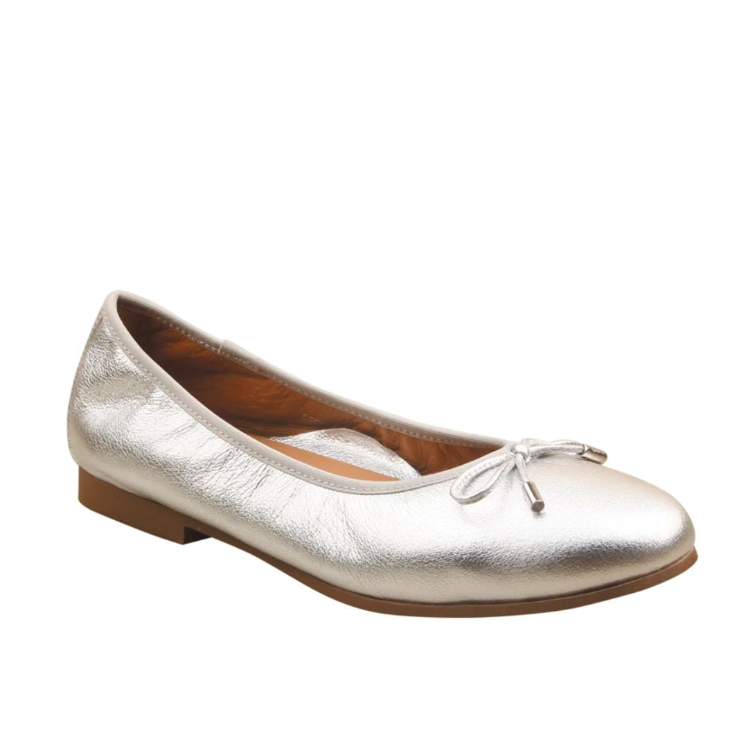 Picture Silver Metallic