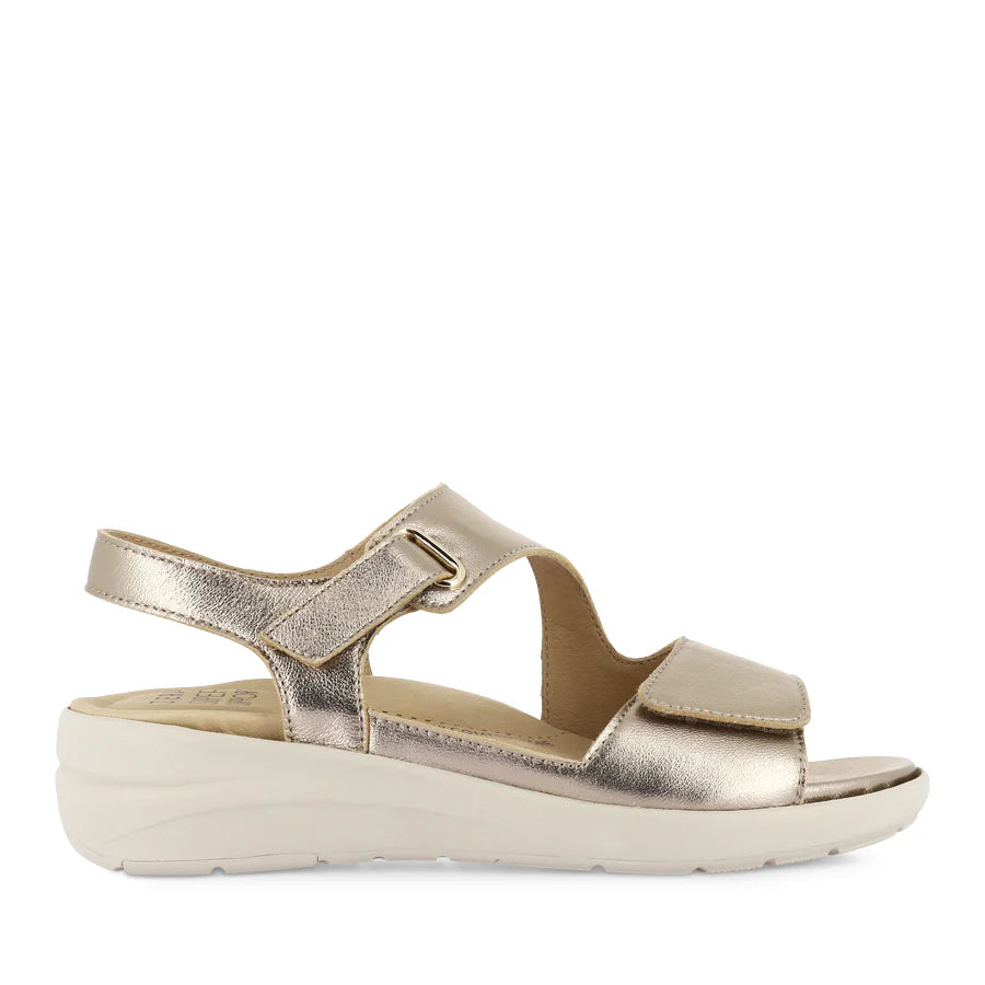 Nila Xw Champagne