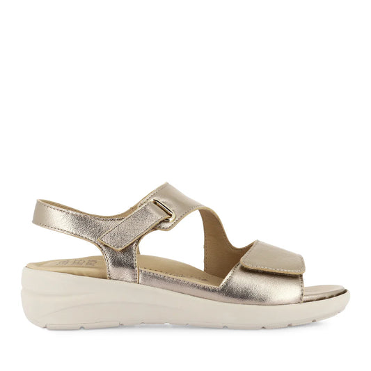 Nila Xw Champagne