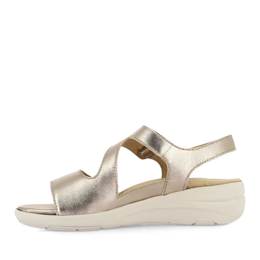 Nila Xw Champagne