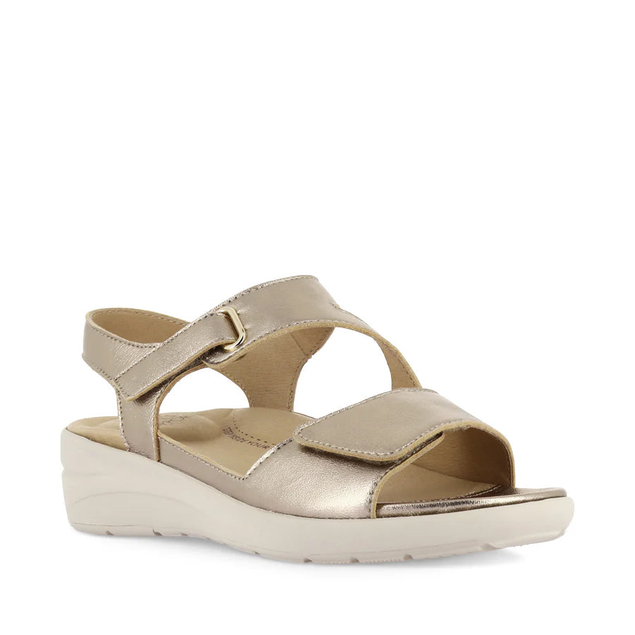 Nila Xw Champagne