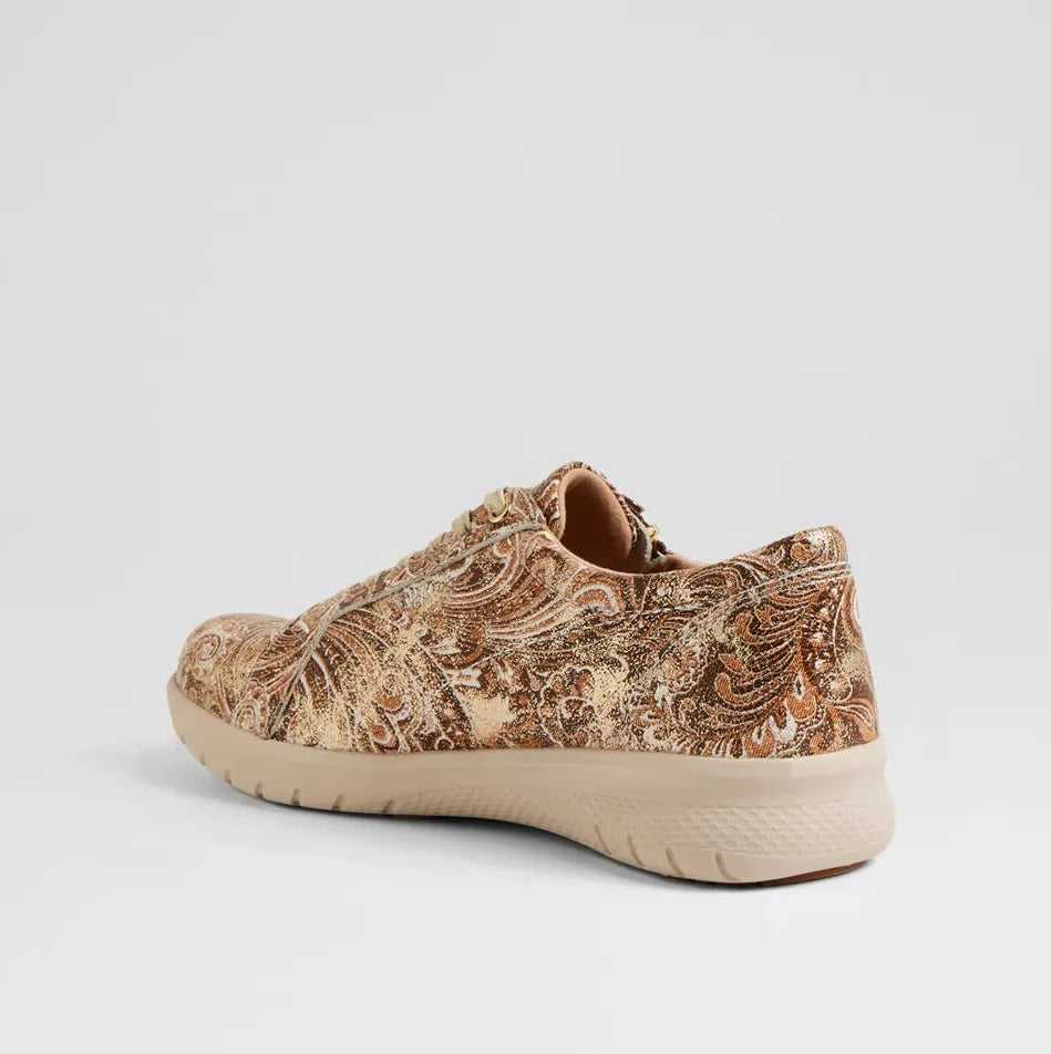 Solar Xf Choc & Gold Paisley