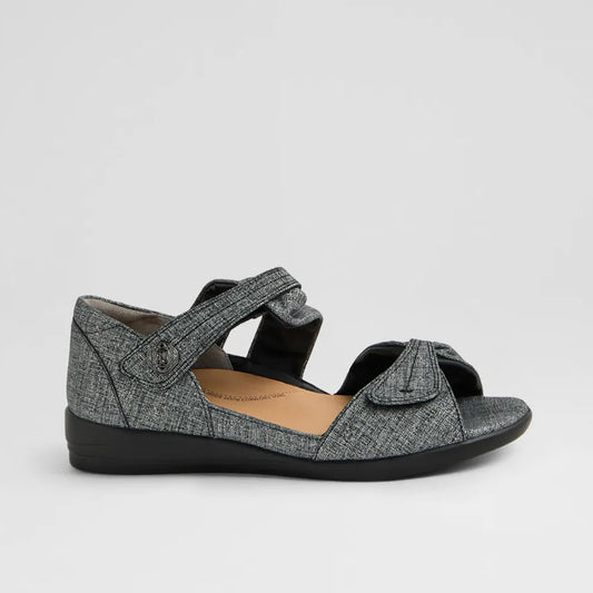 Doxie W Black Pewter Print