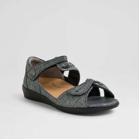 Doxie W Black Pewter Print