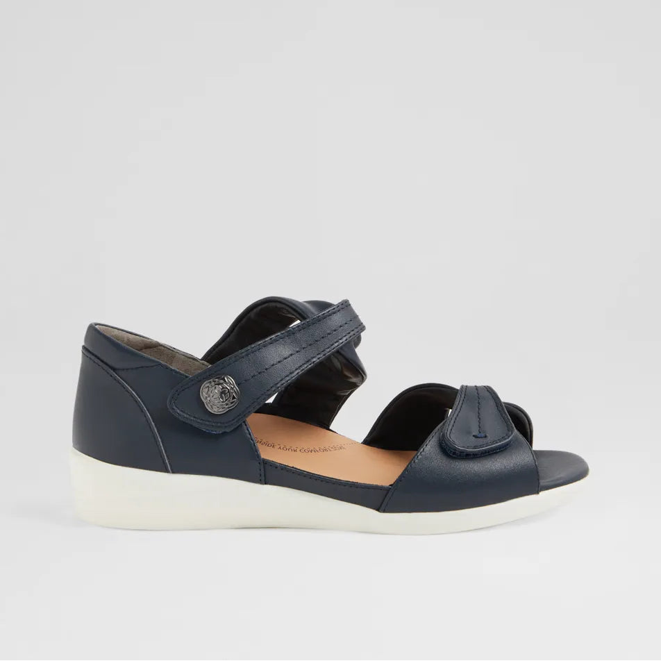 Doxie W Navy Leather