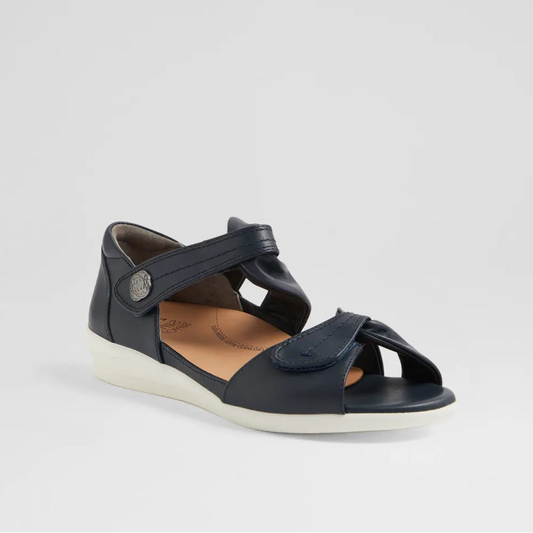 Doxie W Navy Leather