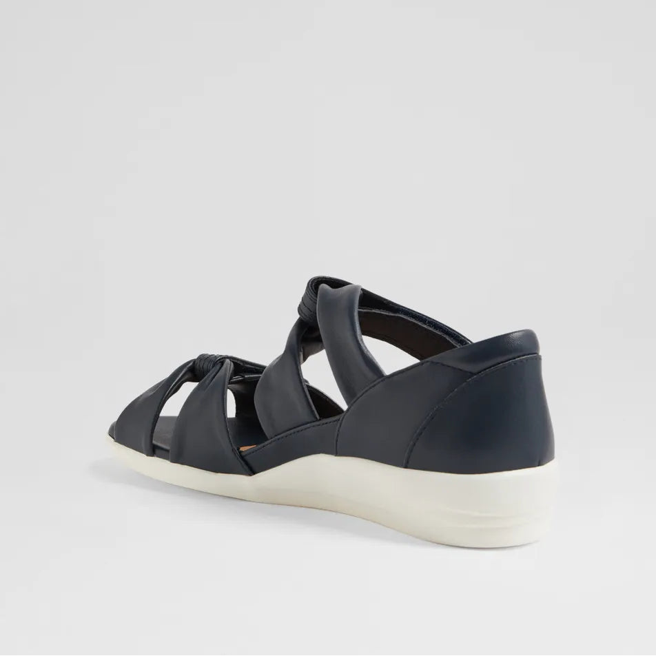 Doxie W Navy Leather