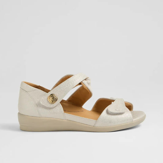 Doxie W Ivory Gold Print