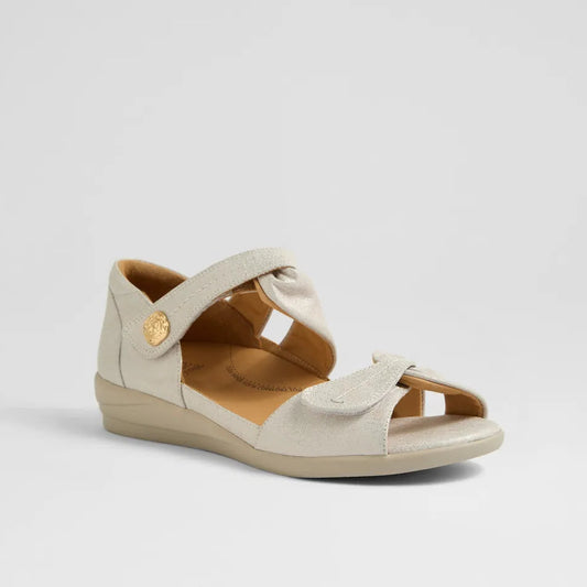 Doxie W Ivory Gold Print